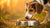 How Can I Get My Dog to Eat Its Food? Solutions for Eager Eaters and Picky Pups-140138119407