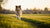 How Can I Get My Dog to Lose Weight Quickly?