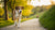 How Can I Help My Dog Lose Weight Naturally? A Comprehensive Guide for Pet Owners
