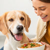 How Can I Help My Dog Put on Weight? A Comprehensive Guide for Caring Pet Owners