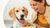 How Can I Help My Dog Put on Weight? A Comprehensive Guide for Caring Pet Owners