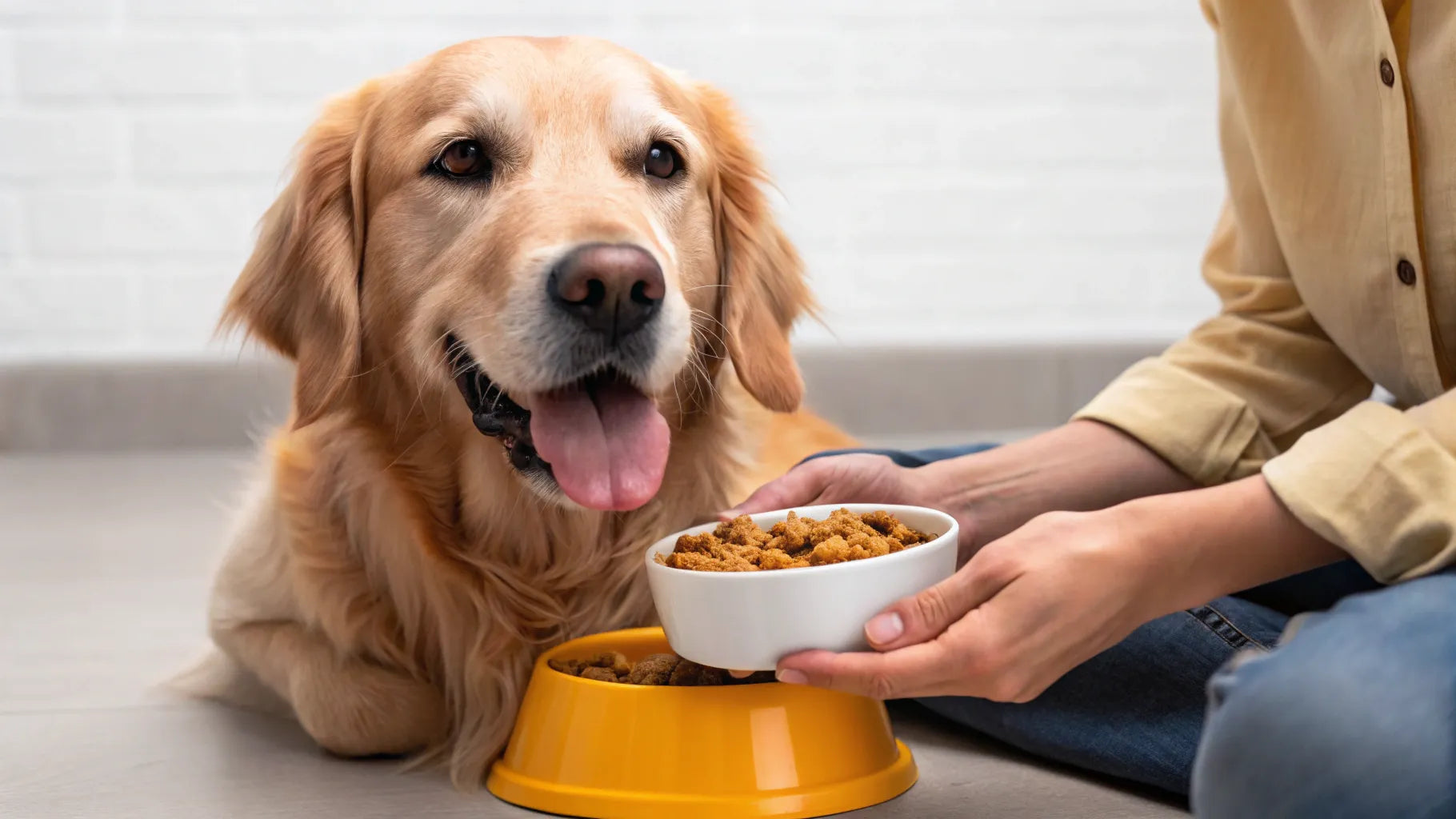 Do Fatty Growths Steal Nutrition from My Dog? Shocking Truths Revealed