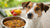How Can I Help My Dog with Food Allergies? A Comprehensive Guide