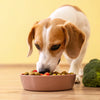 How Can I Make My Dog Gain Weight Fast? Effective Strategies for Healthy Weight Gain