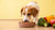 How Can I Make My Dog Gain Weight Fast? Effective Strategies for Healthy Weight Gain