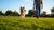 How Can I Make My Dog Lose Weight? A Comprehensive Guide to Healthy Weight Management