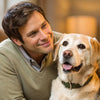 How Can I Put Some Weight on My Dog? A Comprehensive Guide for Pet Owners