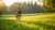 How Can My Dog Lose Weight Quickly: A Comprehensive Guide for Pet Owners