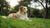 How Can My Dog Lose Weight Without Exercise?