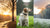 How Can Weather Affect Dogs' Behavior?