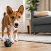 How Do Dog Dental Chews Work? Understanding Their Role in Pet Oral Health