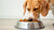How Do Dogs Eat Their Food? Understanding Their Unique Dining Habits-140408946927