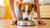 How Do I Get My Dog to Eat Kibble? A Comprehensive Guide for Pet Owners