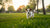 How Do I Get My Little Dog to Lose Weight? A Comprehensive Guide for Pet Owners