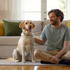 How Do I Help My Dog Lose Weight at Home? A Comprehensive Guide for Pet Owners