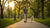 How Do I Help My Dog Lose Weight Fast: A Comprehensive Guide for Pet Owners