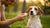 How Do I Stop a Dog's Nail from Bleeding? A Comprehensive Guide for Pet Owners