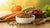 How Do You Air Dry Dog Food? The Complete Guide for Pet Owners