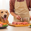 How Do You Feed Your Dog Raw Food: A Comprehensive Guide for Pet Parents
