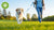 How Do You Get a Dog to Lose Weight: A Comprehensive Guide for Pet Owners