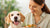 How Do You Get Your Dog to Gain Weight: A Comprehensive Guide for Pet Owners