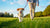 How Do You Help Dogs Lose Weight: A Comprehensive Guide for Pet Owners