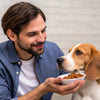 How Do You Make a Dog Gain Weight Fast? A Comprehensive Guide for Pet Owners