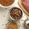 How Do You Make Dry Dog Food? A Comprehensive Guide to Homemade Kibble