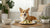 How Do You Make Kibble? A Comprehensive Guide for Pet Owners