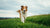 How Does a Dog Lose Weight? A Comprehensive Guide for Pet Owners