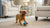 How Does Authority Recipe Dog Food Rate? A Comprehensive Analysis for Pet Owners