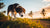 How Does Heat Affect Dogs' Behavior? A Comprehensive Exploration