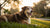 How Does Neutering Affect Dog Behavior? Unpacking the Myths and Realities-141101203695