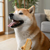 How Does Purina ONE SmartBlend Recipe Dog Food Rate Among Pet Owners?