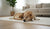 How Does Spaying a Dog Change Their Behavior?-141422330095