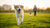How Fast Should Dogs Lose Weight? A Comprehensive Guide for Pet Parents