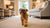 How Hard Is It to Take Care of a Dog? A Comprehensive Guide