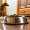 How High Should a Dogs Food Bowl Be?