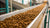 How Is Dry Dog Food Made? A Comprehensive Guide for Pet Owners
