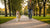 How Long After a Dog Eats Can They Exercise? Essential Guidelines for Pet Owners