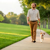 How Long After Eating Can I Exercise My Dog? A Comprehensive Guide