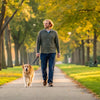 How Long After Eating to Exercise Your Dog: A Comprehensive Guide for Pet Owners
