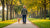 How Long After Eating to Exercise Your Dog: A Comprehensive Guide for Pet Owners