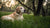 How Long After Exercise Should You Feed Your Dog? Best Practices for Optimal Nutrition