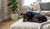 How Long After Spaying Does Behavior Change in Dogs?-141422887151