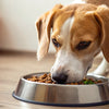 How Long Are Dogs Supposed to Eat Puppy Food? Understanding the Transition to Adult Dog Food