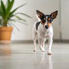 How Long Can Canned Dog Food Be Kept in Refrigerator: A Practical Guide for Pet Owners