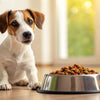 How Long Can I Feed My Dog Puppy Food? A Comprehensive Guide