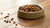 How Long Can I Leave My Dog's Wet Food Out? Essential Guidelines for Pet Owners