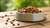 How Long Can Wet Dog Food Sit in a Bowl: A Comprehensive Guide for Pet Owners
